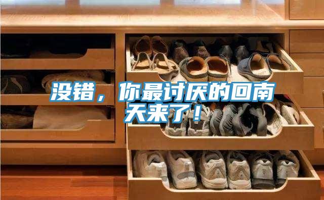 沒錯，你最討厭的回南天來了！