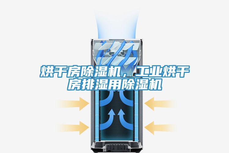 烘干房除濕機，工業(yè)烘干房排濕用除濕機