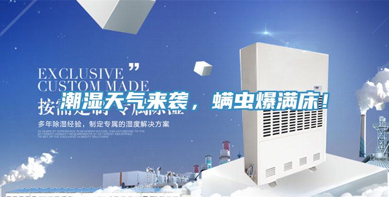 潮濕天氣來襲，螨蟲爆滿床！