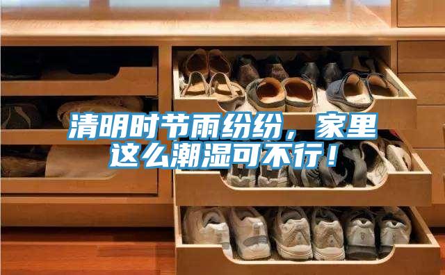 清明時(shí)節(jié)雨紛紛，家里這么潮濕可不行！