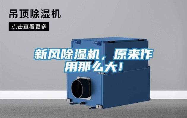 新風(fēng)除濕機(jī)，原來作用那么大！