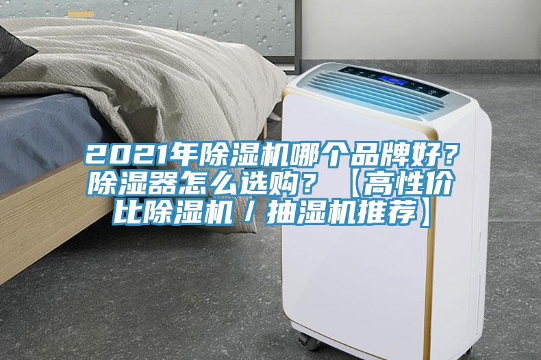2021年除濕機(jī)哪個(gè)品牌好？除濕器怎么選購(gòu)？【高性價(jià)比除濕機(jī)／抽濕機(jī)推薦】