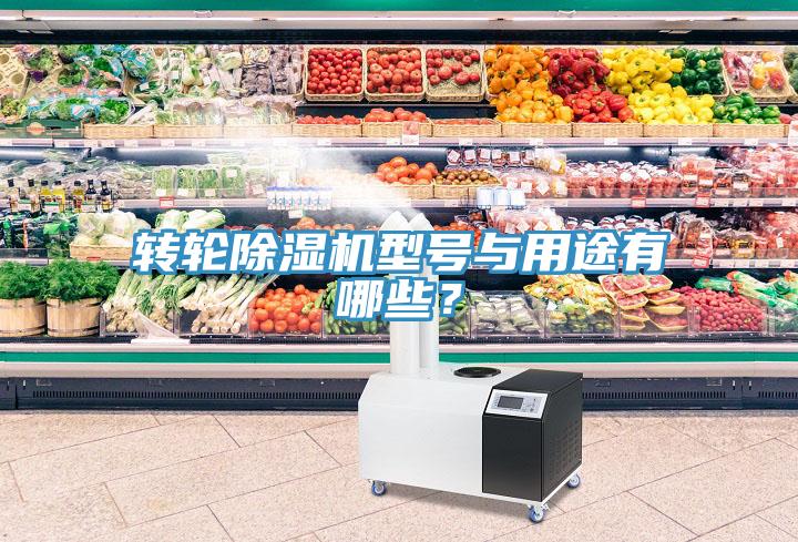 轉(zhuǎn)輪除濕機(jī)型號(hào)與用途有哪些？