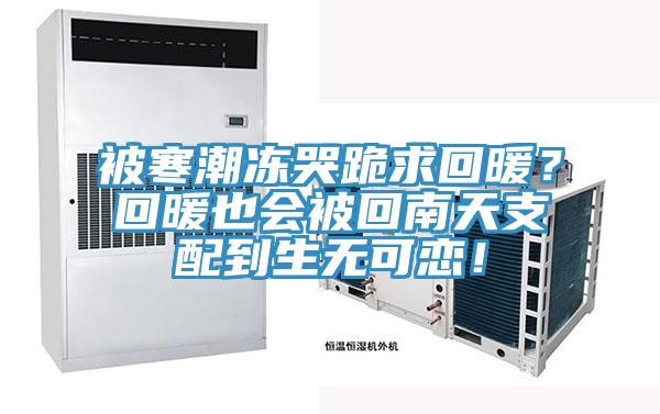 被寒潮凍哭跪求回暖？回暖也會被回南天支配到生無可戀！
