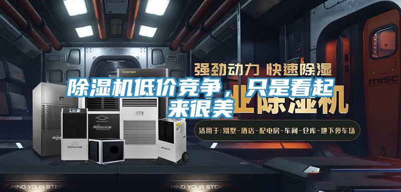 除濕機(jī)低價(jià)競爭，只是看起來很美