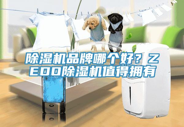 除濕機(jī)品牌哪個(gè)好？ZEDO除濕機(jī)值得擁有