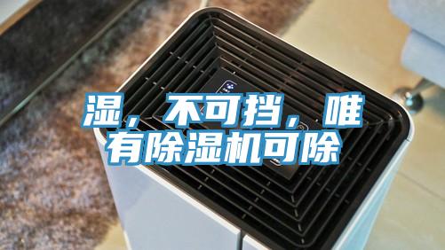 濕，不可擋，唯有除濕機(jī)可除