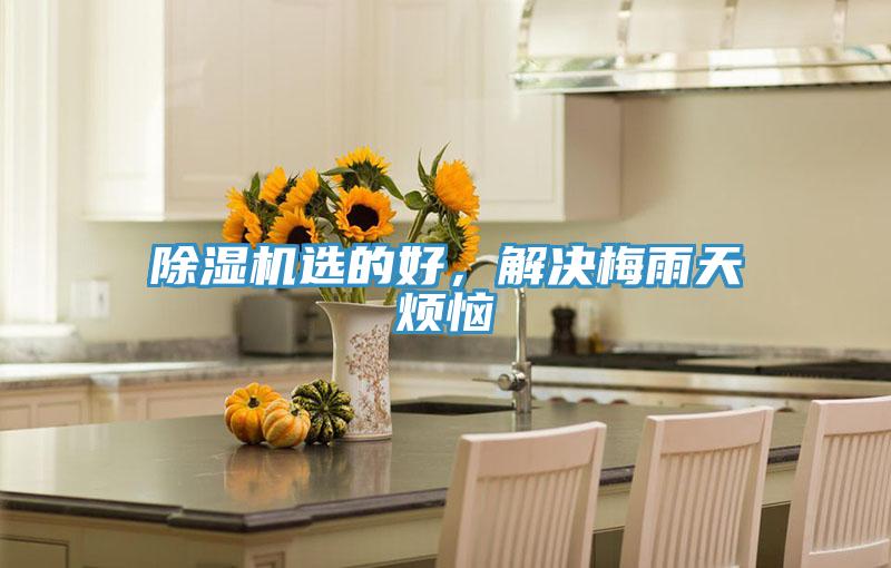 除濕機選的好，解決梅雨天煩惱