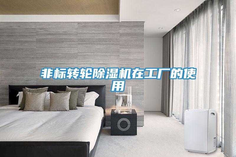 非標(biāo)轉(zhuǎn)輪除濕機在工廠的使用