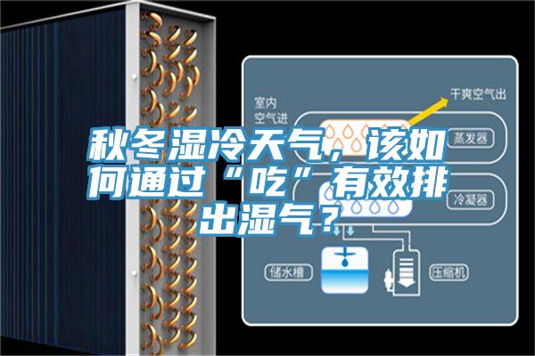 秋冬濕冷天氣，該如何通過“吃”有效排出濕氣？