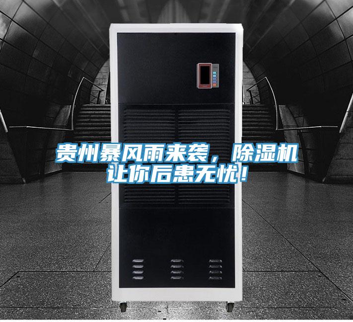 貴州暴風(fēng)雨來襲，除濕機(jī)讓你后患無憂！