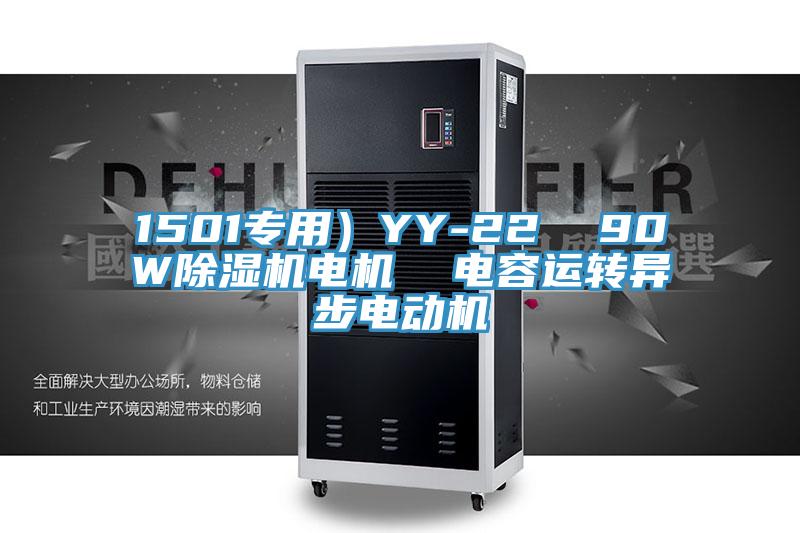 1501專用）YY-22  90W除濕機(jī)電機(jī)  電容運(yùn)轉(zhuǎn)異步電動機(jī)