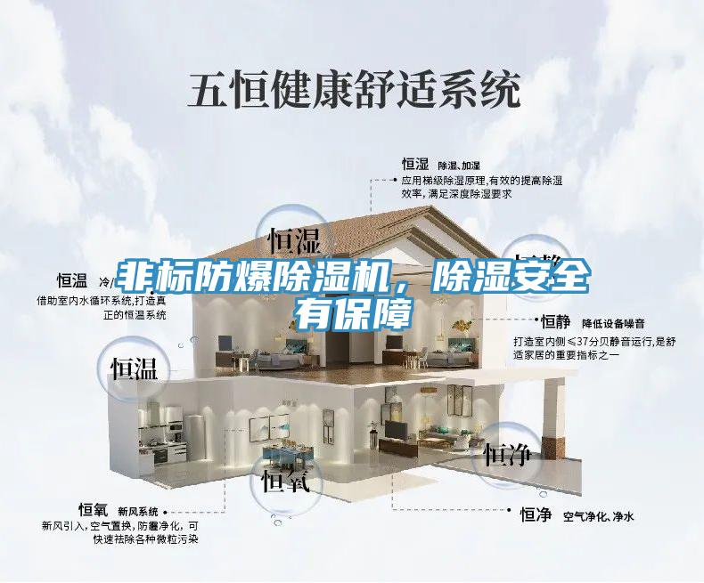 非標(biāo)防爆除濕機，除濕安全有保障