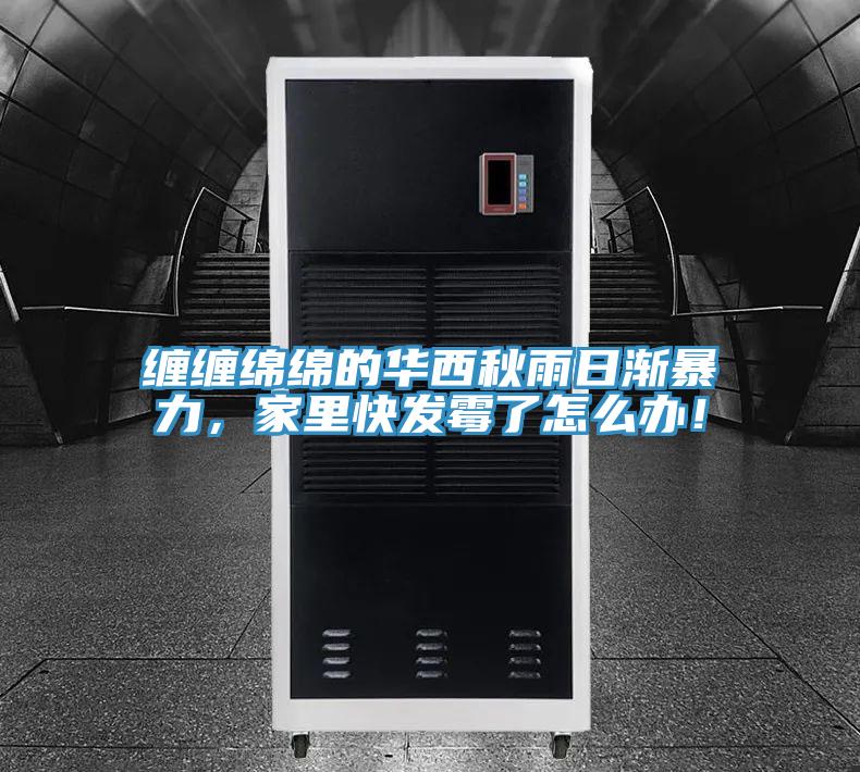 纏纏綿綿的華西秋雨日漸暴力，家里快發(fā)霉了怎么辦！