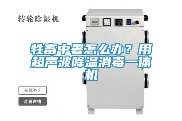 牲畜中暑怎么辦？用超聲波降溫消毒一體機(jī)