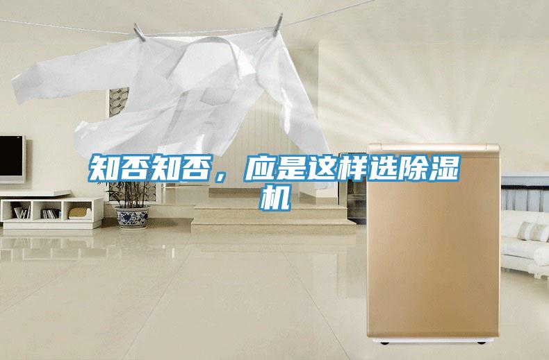 知否知否，應(yīng)是這樣選除濕機(jī)