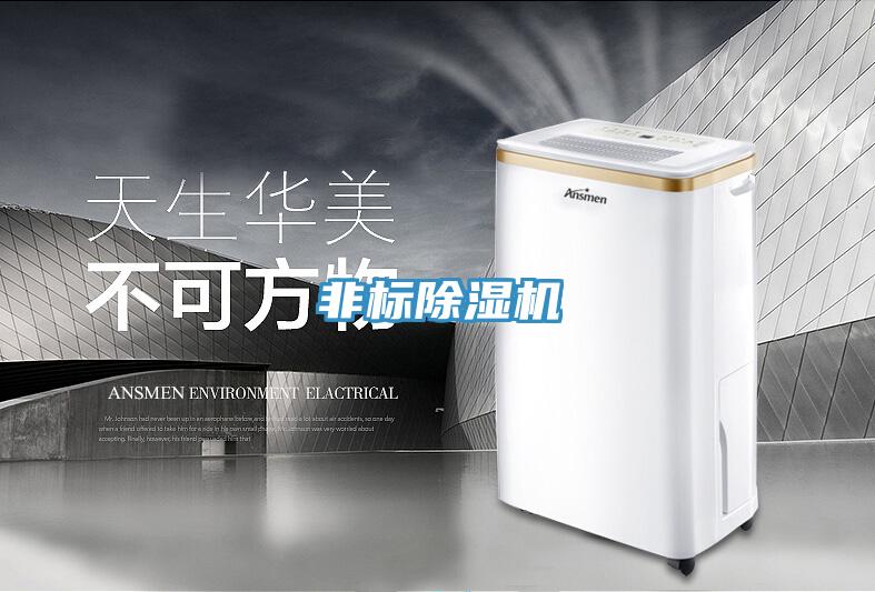 非標(biāo)除濕機