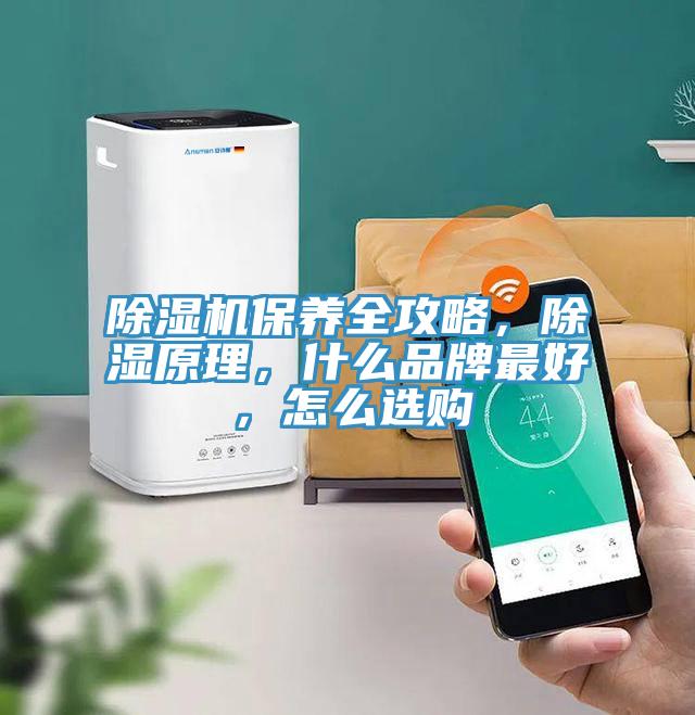 除濕機保養(yǎng)全攻略，除濕原理，什么品牌最好，怎么選購