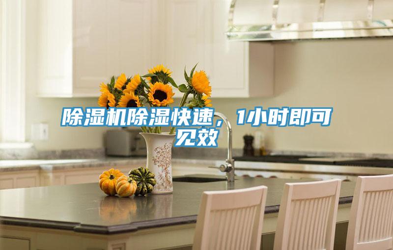 除濕機除濕快速，1小時即可見效