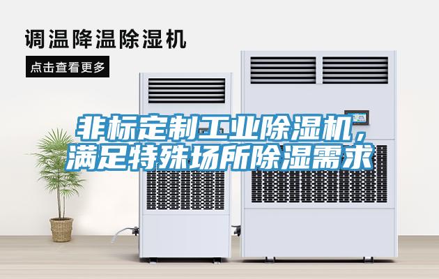 非標(biāo)定制工業(yè)除濕機，滿足特殊場所除濕需求