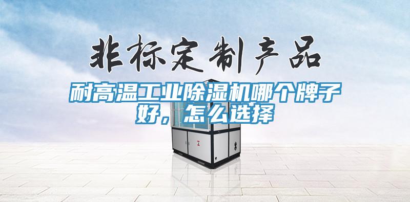 耐高溫工業(yè)除濕機哪個牌子好，怎么選擇
