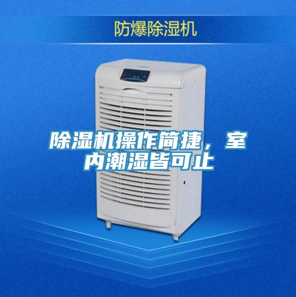 除濕機(jī)操作簡捷，室內(nèi)潮濕皆可止