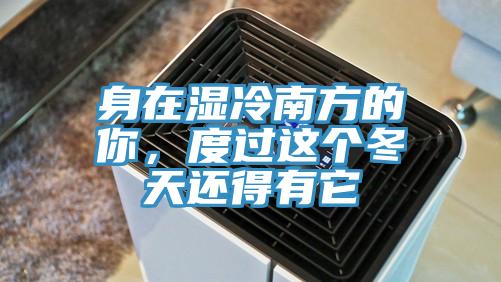 身在濕冷南方的你，度過這個(gè)冬天還得有它