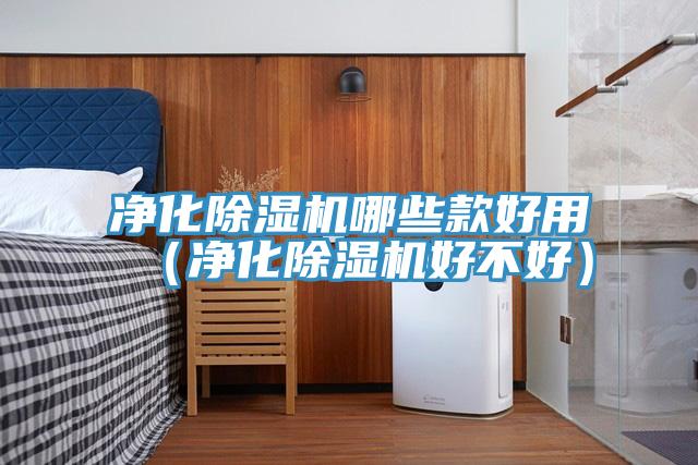 凈化除濕機(jī)哪些款好用（凈化除濕機(jī)好不好）