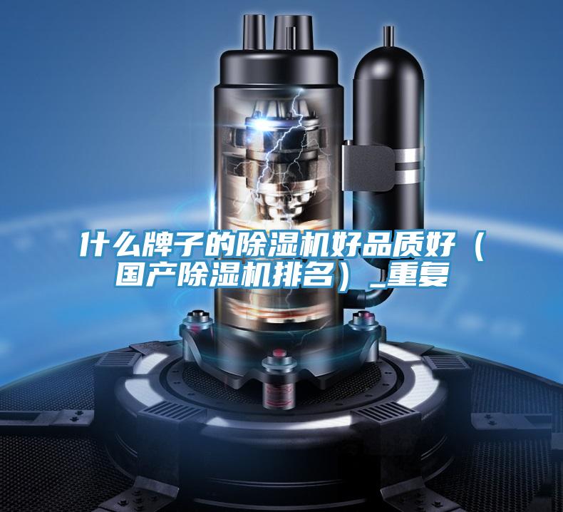什么牌子的除濕機好品質(zhì)好（國產(chǎn)除濕機排名）_重復