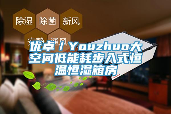 優(yōu)卓/Youzhuo大空間低能耗步入式恒溫恒濕箱房