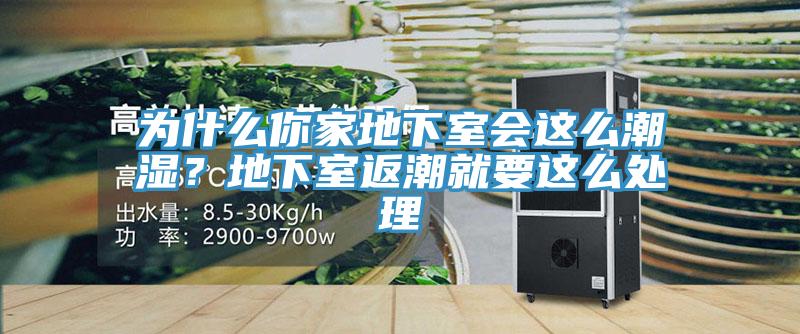 為什么你家地下室會這么潮濕？地下室返潮就要這么處理