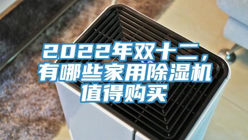 2022年雙十二，有哪些家用除濕機值得購買