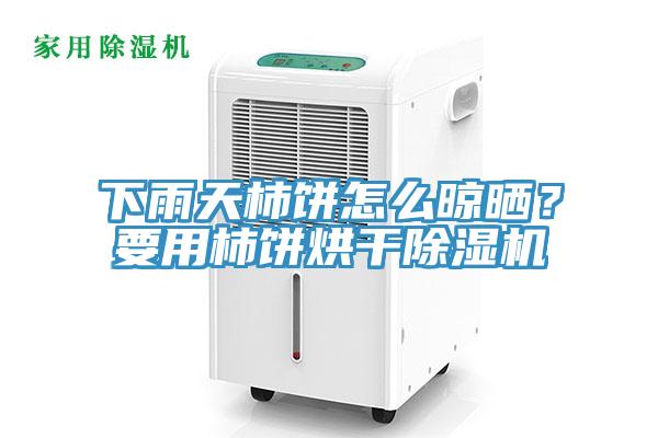 下雨天柿餅怎么晾曬？要用柿餅烘干除濕機(jī)