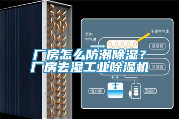 廠房怎么防潮除濕？廠房去濕工業(yè)除濕機