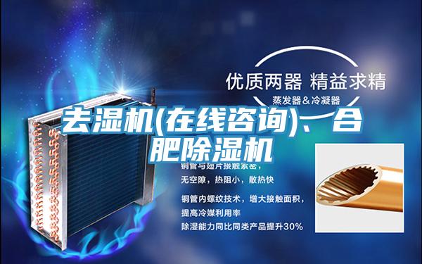 去濕機(jī)(在線咨詢)、合肥除濕機(jī)