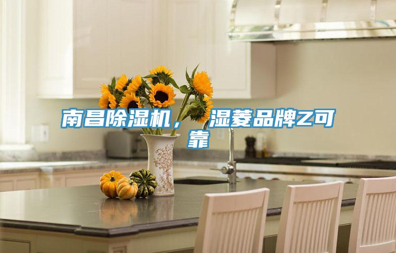南昌除濕機(jī)， 濕菱品牌Z可靠