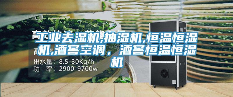 工業(yè)去濕機(jī),抽濕機(jī),恒溫恒濕機(jī),酒窖空調(diào)，酒窖恒溫恒濕機(jī)
