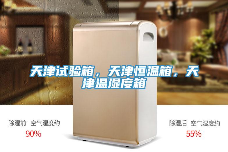 天津試驗(yàn)箱，天津恒溫箱，天津溫濕度箱