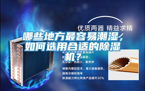 哪些地方最容易潮濕，如何選用合適的除濕機(jī)？