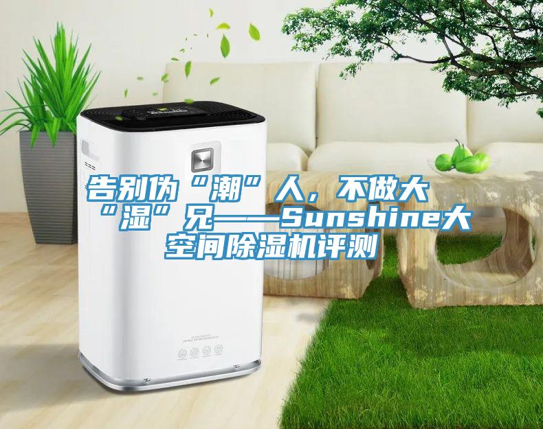 告別偽“潮”人，不做大“濕”兄——Sunshine大空間除濕機(jī)評測