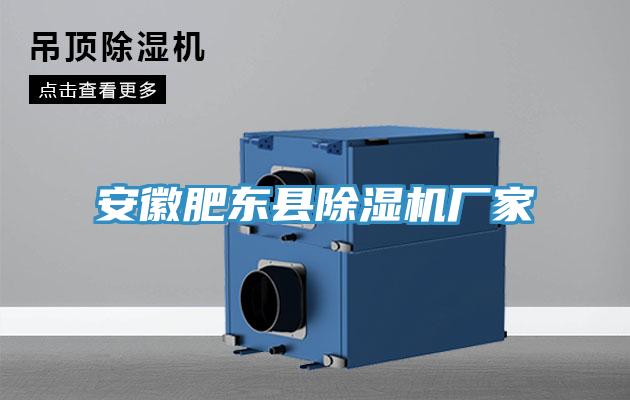 安徽肥東縣除濕機(jī)廠(chǎng)家