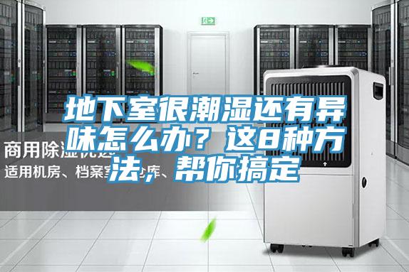 地下室很潮濕還有異味怎么辦？這8種方法，幫你搞定