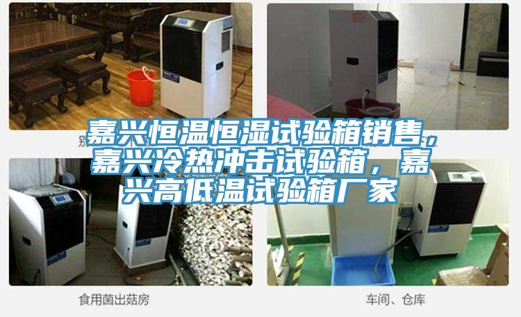嘉興恒溫恒濕試驗(yàn)箱銷售，嘉興冷熱沖擊試驗(yàn)箱，嘉興高低溫試驗(yàn)箱廠家