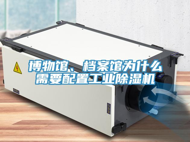 博物館、檔案館為什么需要配置工業(yè)除濕機