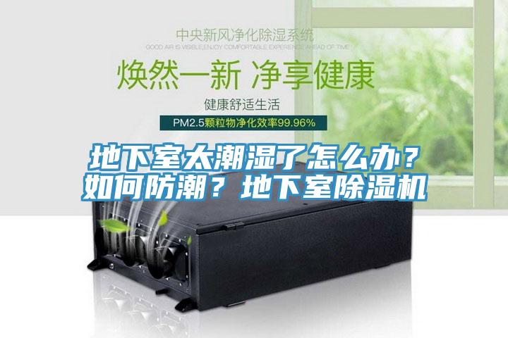 地下室太潮濕了怎么辦？如何防潮？地下室除濕機(jī)