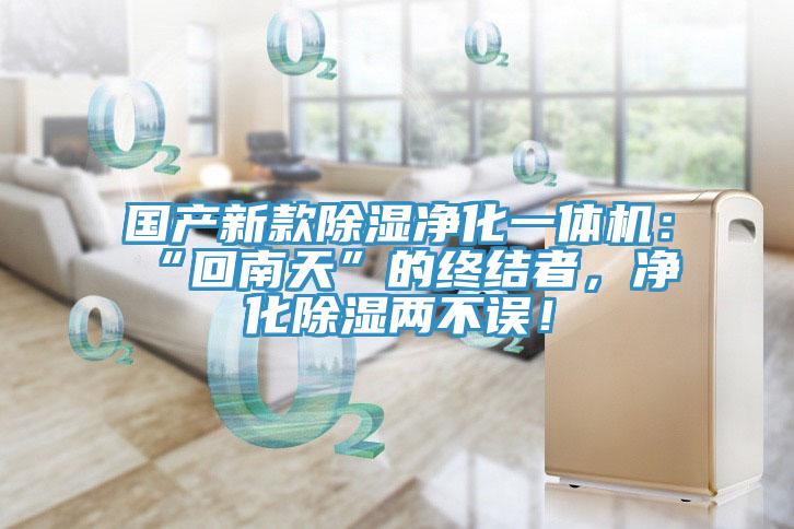 國產(chǎn)新款除濕凈化一體機(jī)：“回南天”的終結(jié)者，凈化除濕兩不誤！