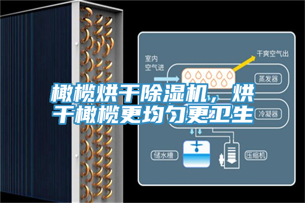 橄欖烘干除濕機(jī)，烘干橄欖更均勻更衛(wèi)生