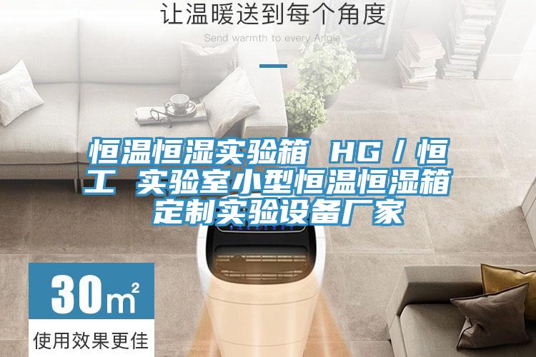 恒溫恒濕實(shí)驗(yàn)箱 HG／恒工 實(shí)驗(yàn)室小型恒溫恒濕箱 定制實(shí)驗(yàn)設(shè)備廠(chǎng)家