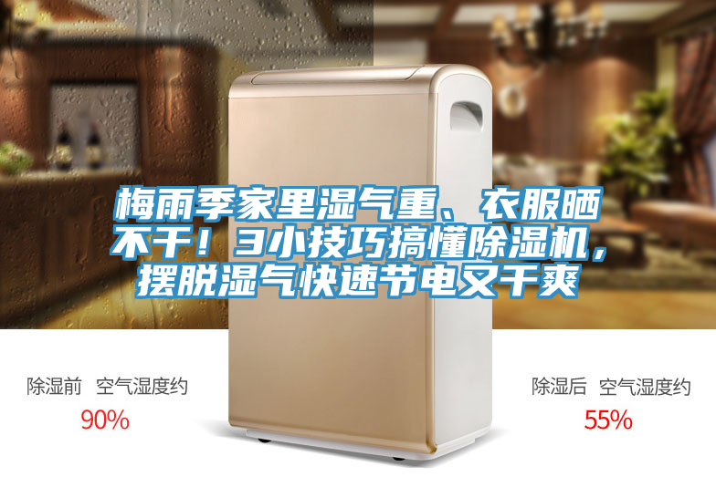 梅雨季家里濕氣重、衣服曬不干！3小技巧搞懂除濕機(jī)，擺脫濕氣快速節(jié)電又干爽