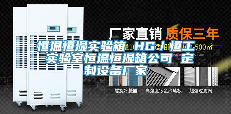 恒溫恒濕實(shí)驗(yàn)箱 HG／恒工 實(shí)驗(yàn)室恒溫恒濕箱公司 定制設(shè)備廠(chǎng)家